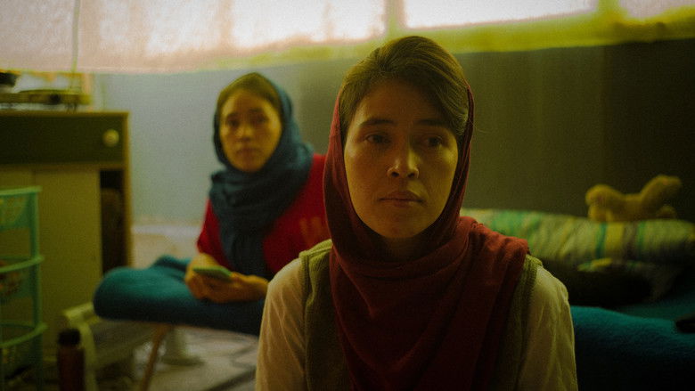 кадр из фильма Along the Way