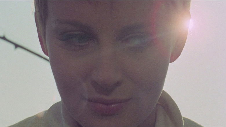 кадр из фильма Самка