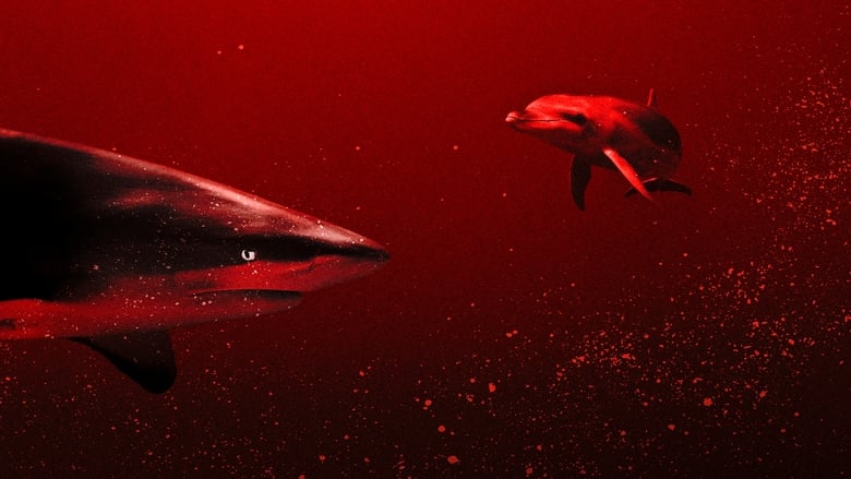 кадр из фильма Sharks vs. Dolphins: Blood Battle