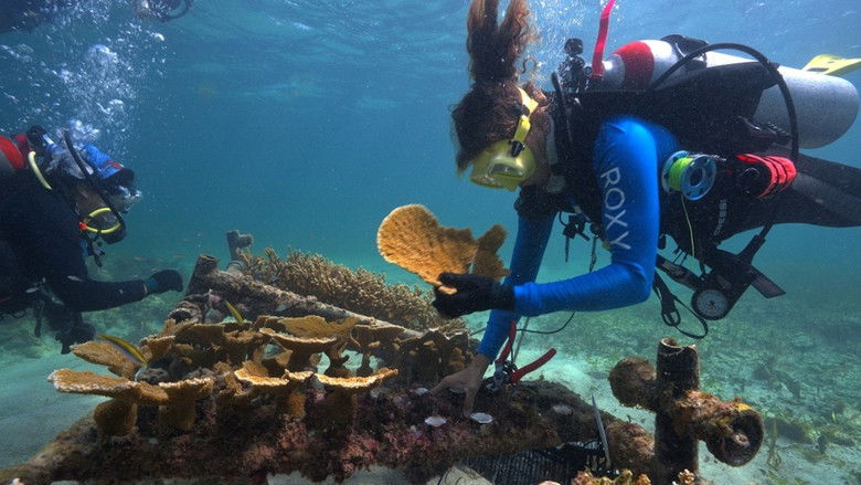 кадр из фильма SHIELD: The Living Wall of the Caribbean