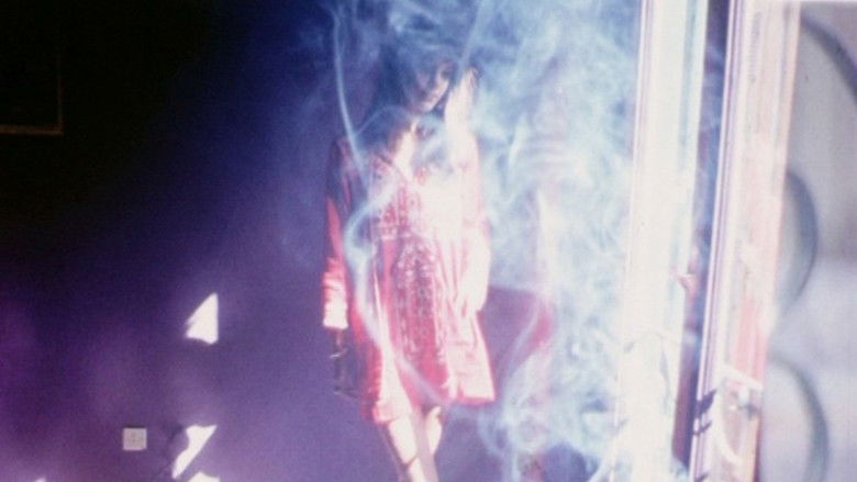 кадр из фильма Home Movie, autour du 'Lit de la vierge'