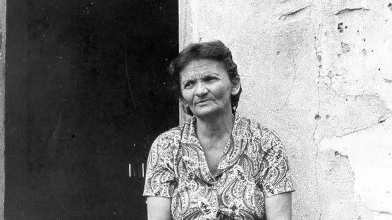 кадр из фильма Cabra Marcado Para Morrer