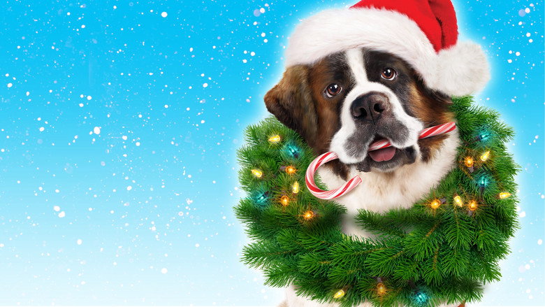 кадр из фильма Рождественское приключение Бетховена