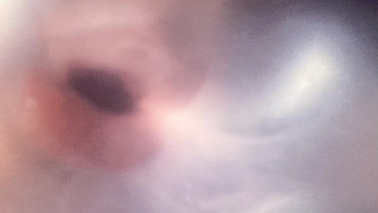 кадр из фильма Transformaciones