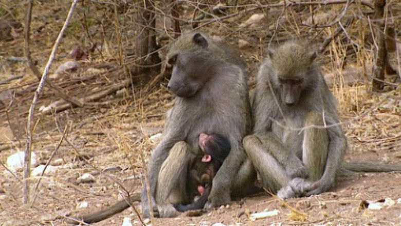 Nature's Babies: Rearing Young in the Wild
