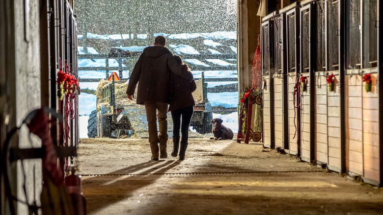 кадр из фильма Домой на Рождество