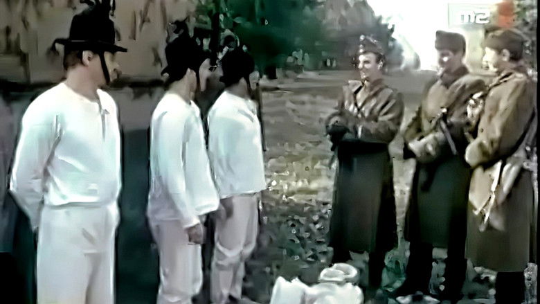 кадр из фильма Appassionata