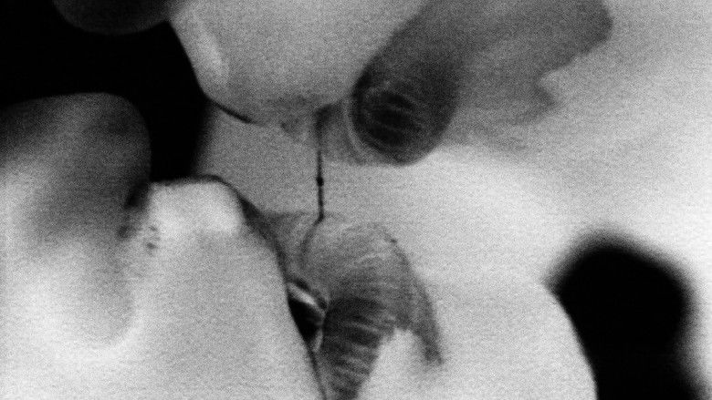 кадр из фильма The Operation