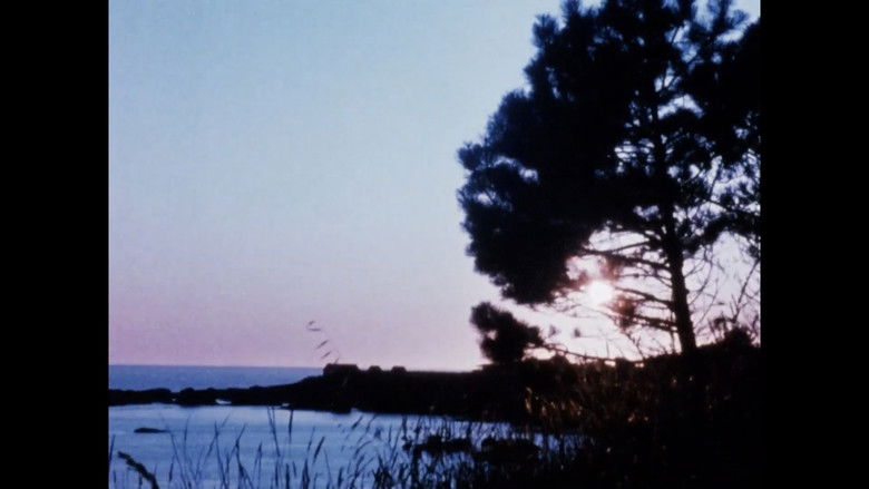 кадр из фильма Matter of Clarity