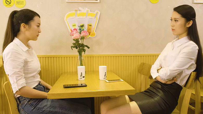 高冷姐姐霸王少