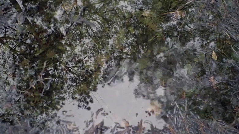 кадр из фильма Любовь и смерть в божественном саду