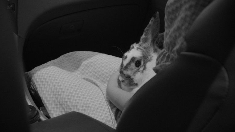 кадр из фильма Alice-Heart