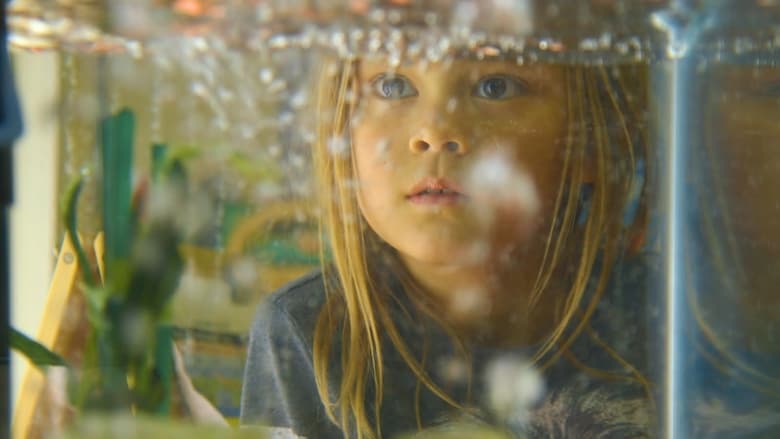 кадр из фильма A View from the Window