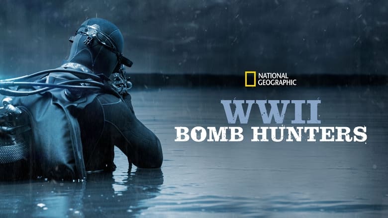 кадр из фильма WWII Bomb Hunters