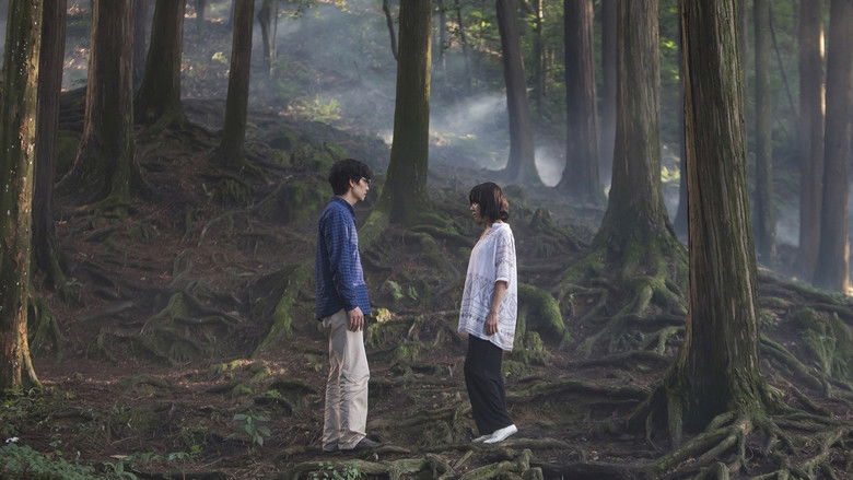 кадр из фильма Стеклянный сад