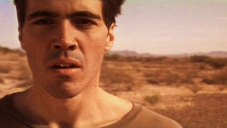 кадр из фильма Postcards from America