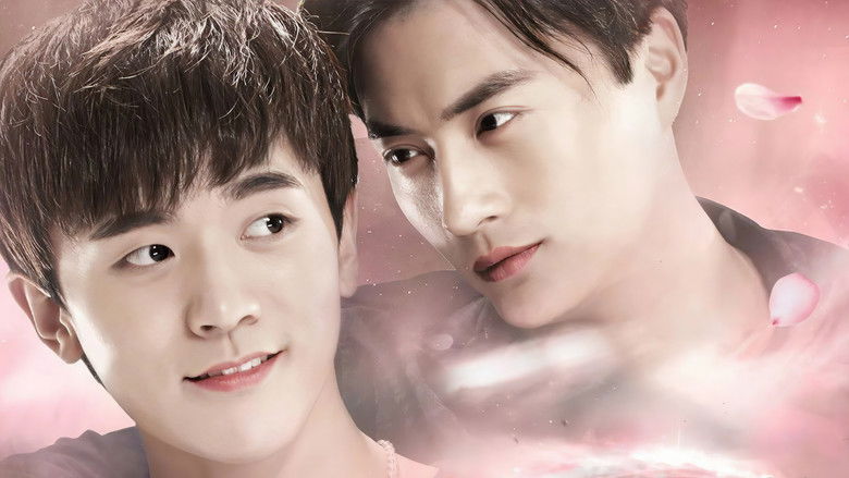 暮夜传说之嗜血男宠