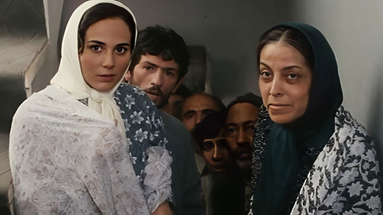 кадр из фильма مارمولک