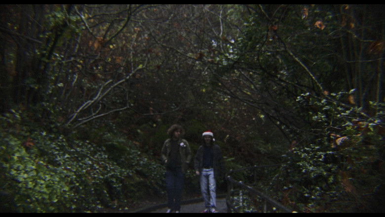 кадр из фильма A Skinwalter Christmas