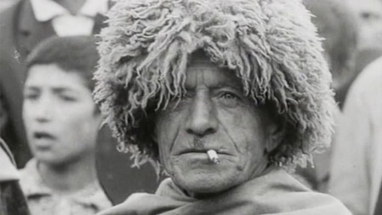 кадр из фильма Времена года