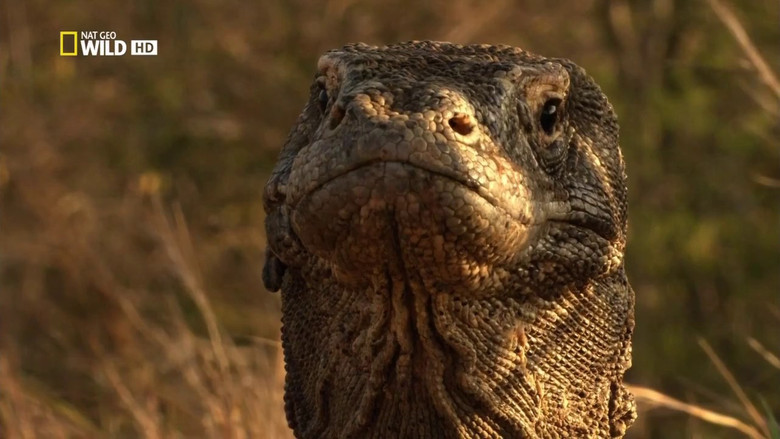 кадр из фильма Venom Islands