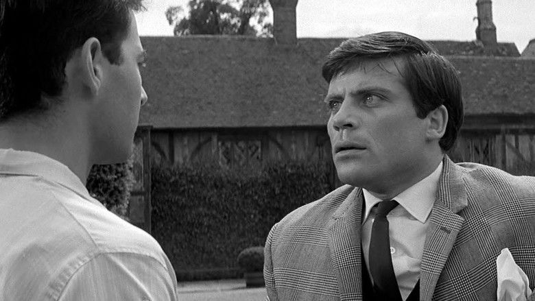 кадр из фильма Параноик