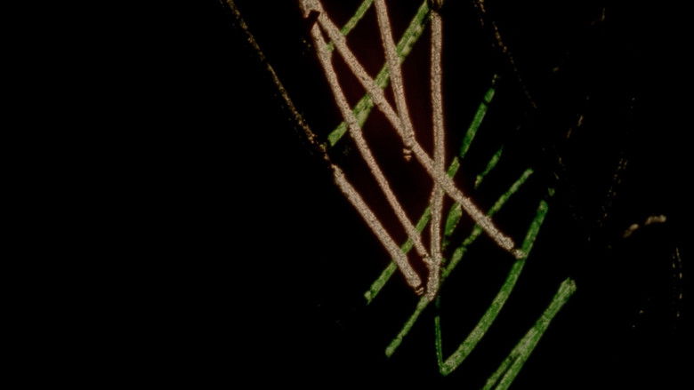 кадр из фильма Chicago Footwarmers