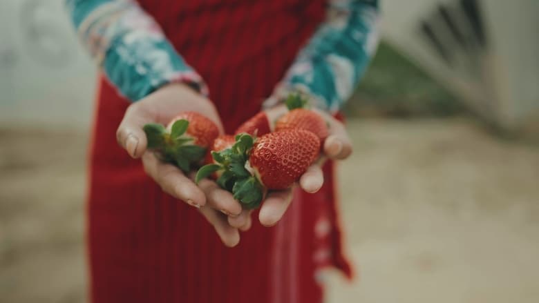 кадр из фильма Bittere Früchte - Ausbeutung in der Landwirtschaft