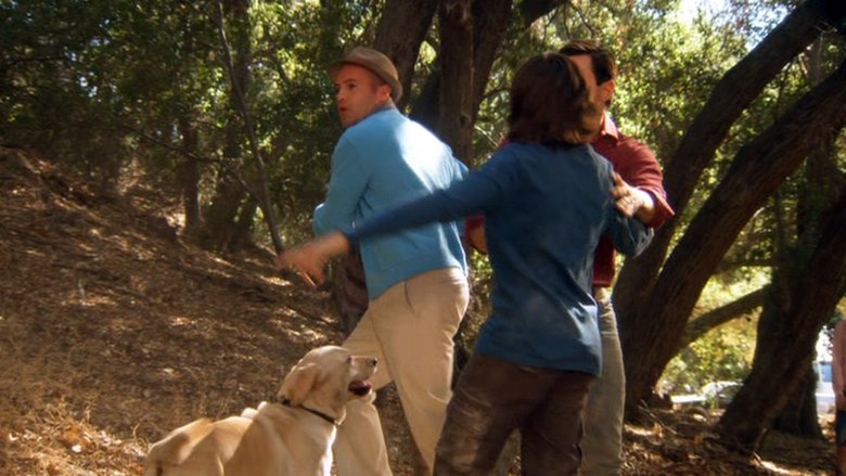 кадр из фильма Золотые ретриверы