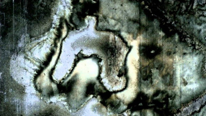 кадр из фильма Das Goldene Tor