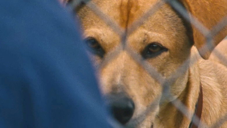 кадр из фильма Венди и Люси