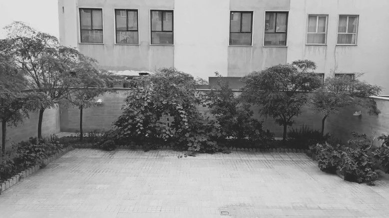 кадр из фильма در ستایش تنهایی