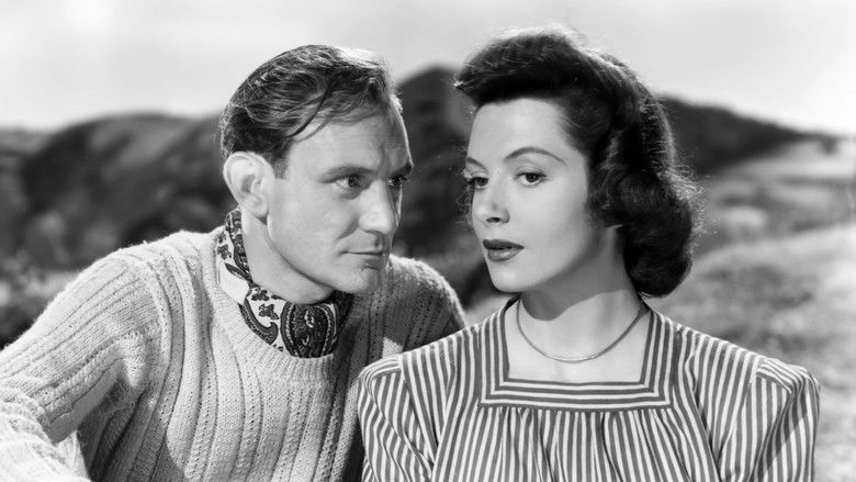 кадр из фильма I See a Dark Stranger