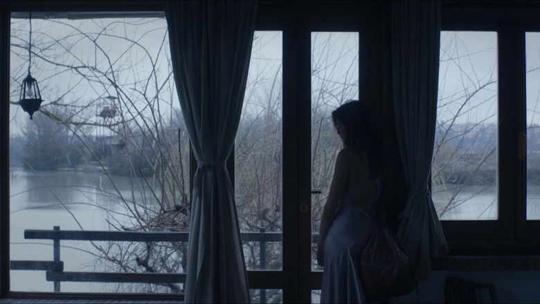 кадр из фильма Tutte le mie notti