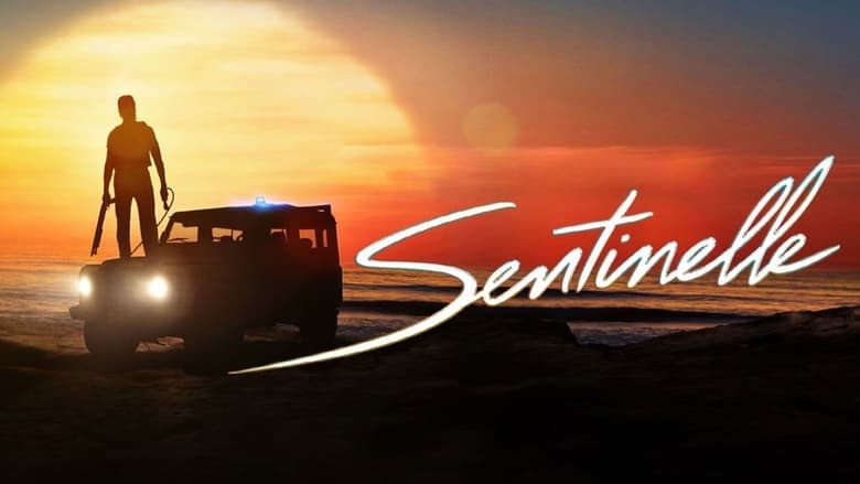 кадр из фильма Sentinelle