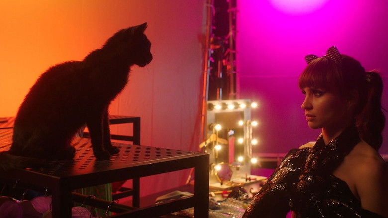 кадр из фильма Я — кот