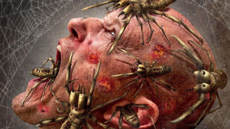 кадр из фильма Верблюжьи пауки