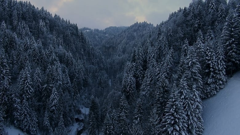 кадр из фильма Köhlernächte