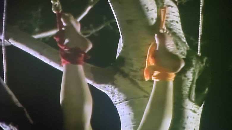 кадр из фильма ザ・必殺レイプマン１　淫獣狩り