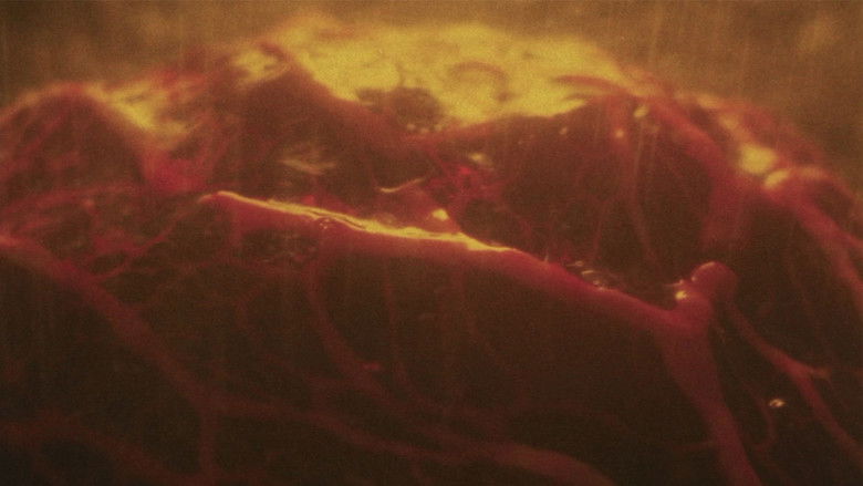 кадр из фильма Ловушка зловещих мертвецов