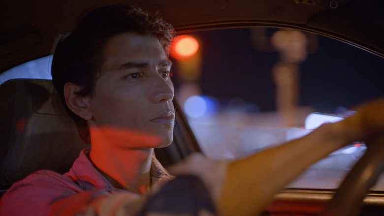 кадр из фильма Noctilucas