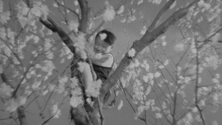 кадр из фильма Любовные письма