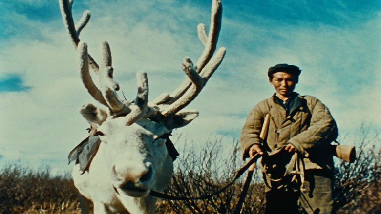 кадр из фильма Письмо из Сибири