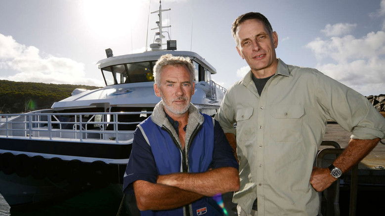 кадр из фильма The Search for the Ocean's Super Predator