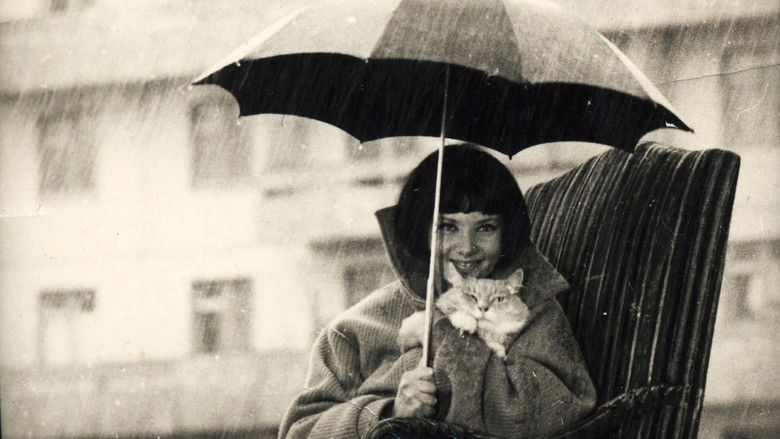 кадр из фильма Слепой дождь