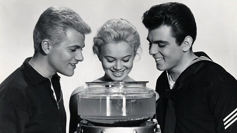 кадр из фильма Love in a Goldfish Bowl