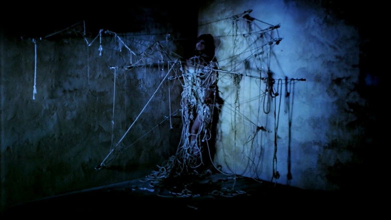 кадр из фильма Undo