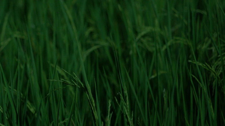 кадр из фильма สมมุติ Land Of Smile.