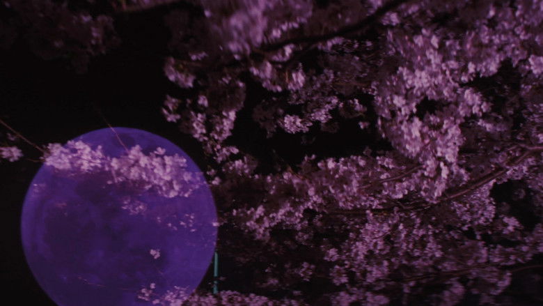 кадр из фильма 遙かな時代の階段を