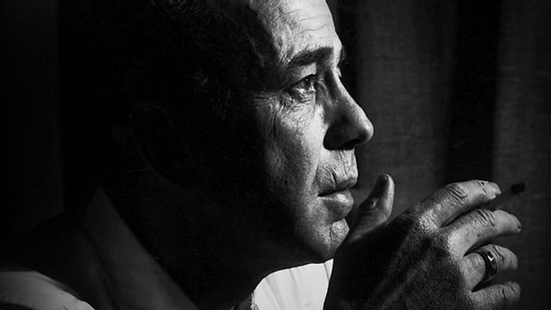 кадр из фильма The Rules of Film Noir